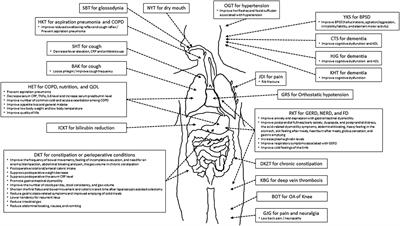 Kampo Medicine for Various Aging-Related Symptoms: A Review of Geriatric Syndrome